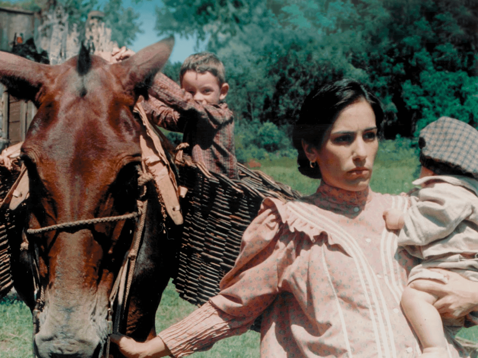 “O Quatrilho” foi indicado ao Oscar em 1996