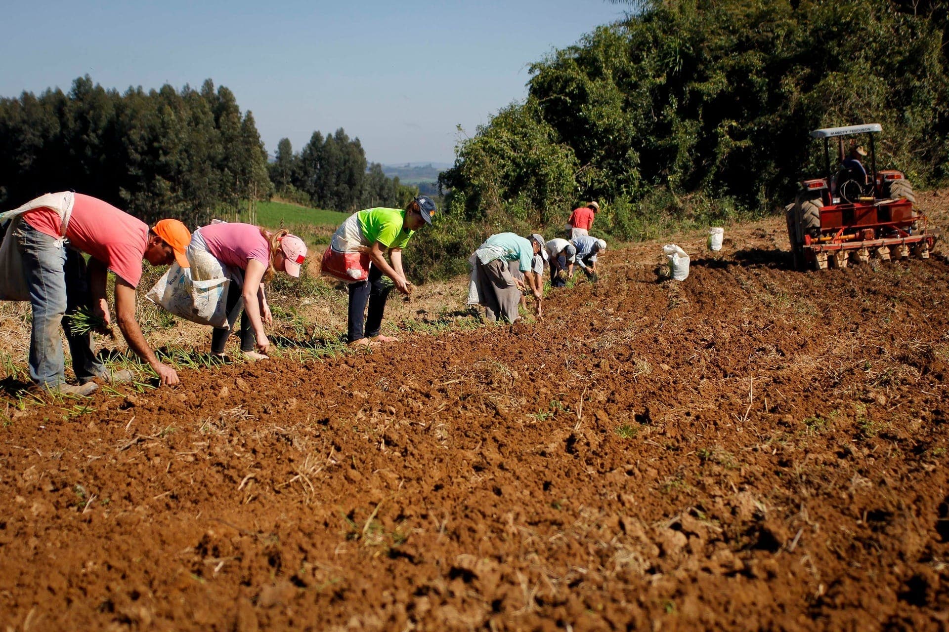 Trabalhadores rurais terão benefícios para quitar dívidas