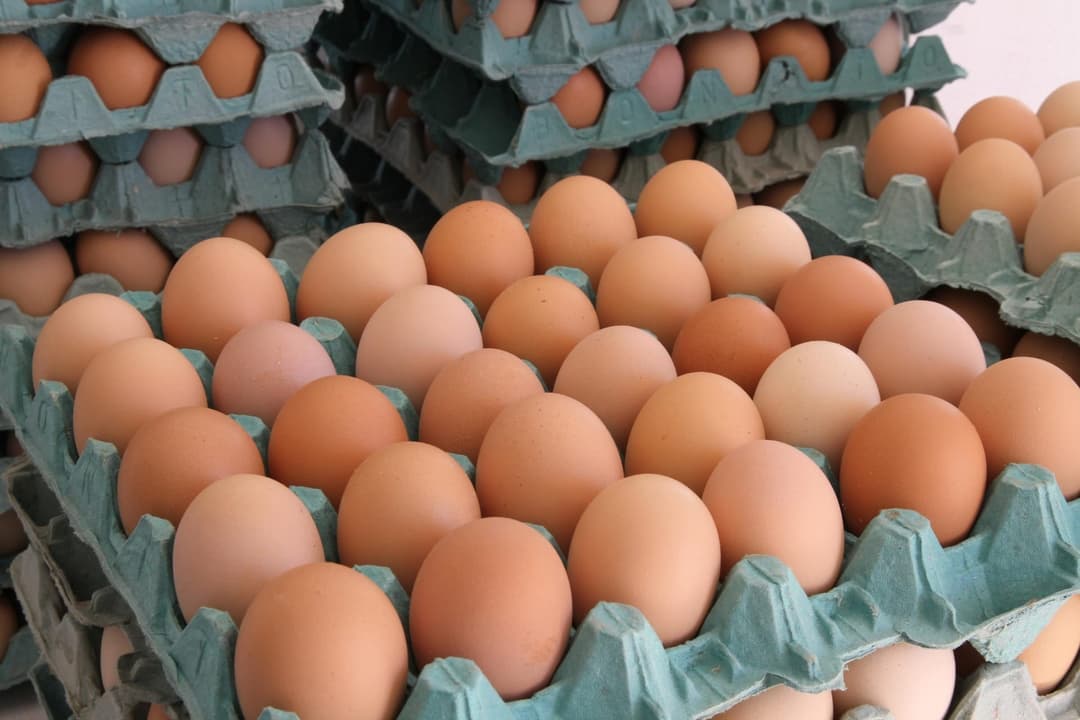 Ovo é a proteína mais barata do varejo neste mês; entenda os motivos