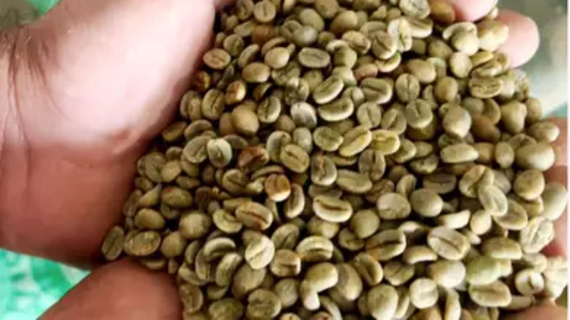 Mais de 450 mil sacas de café deixaram de ser exportadas por falta de capacidade portuária no Brasil