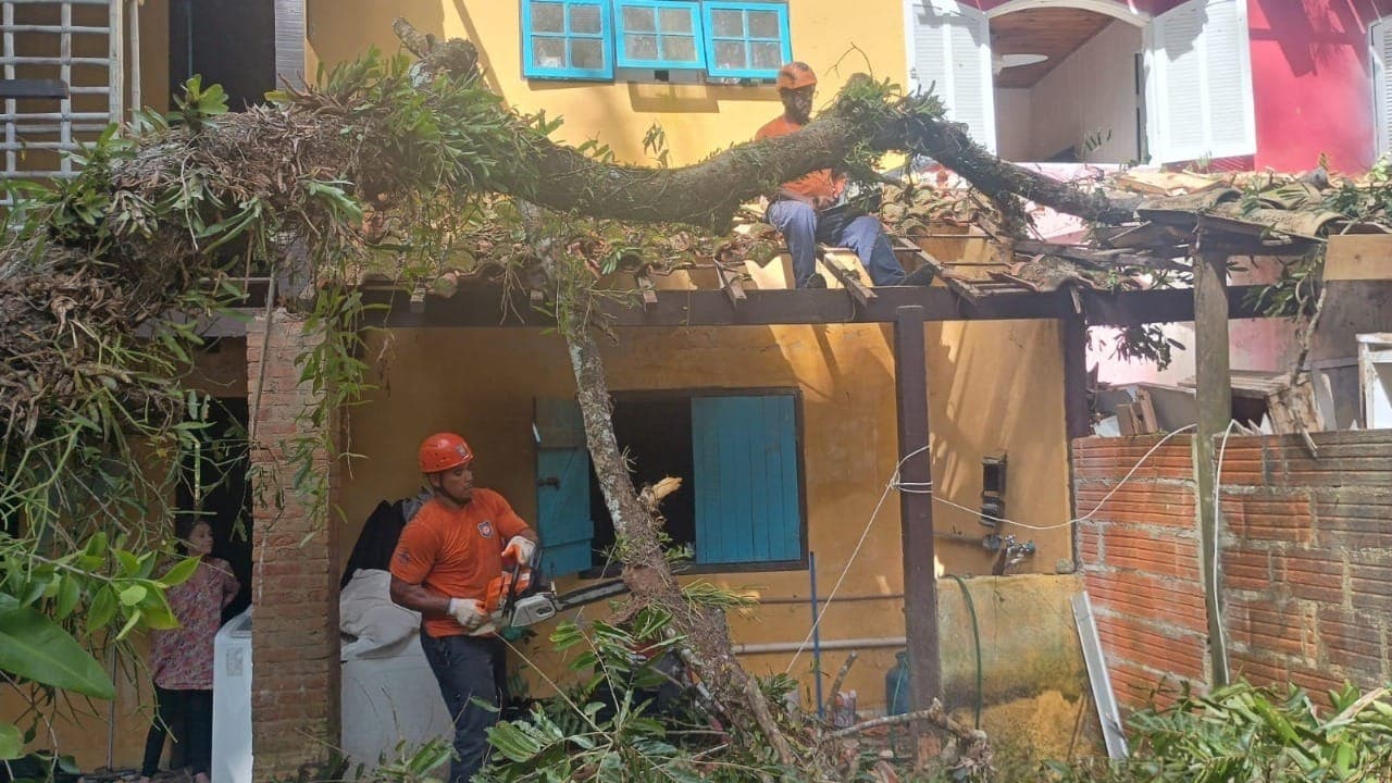 Oito pessoas seguem desalojadas em São Sebastião após fortes rajadas de vento no Litoral Norte