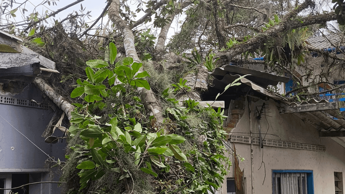 Energia é reestabelecida para moradores impactados pelas chuvas e ventos no Litoral Norte de SP