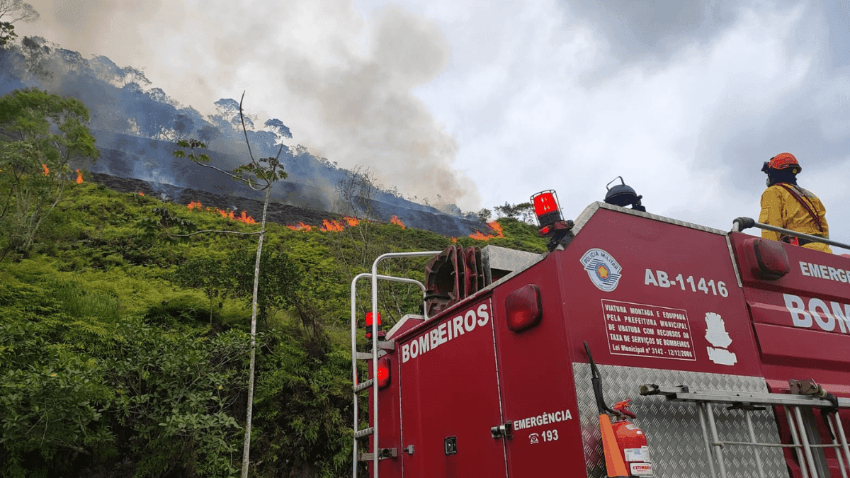 O incêndio foi controlado e extinto, deixando uma área queimada de aproximadamente 15.000 metros quadrados