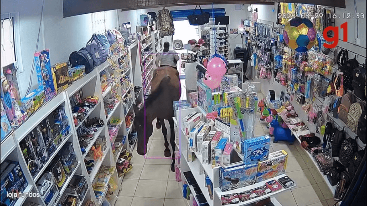 Cavalo invade loja no interior de São Paulo