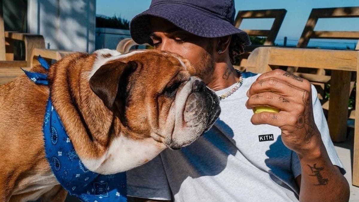 Roscoe e Hamilton durante as férias da Fórmula 1 