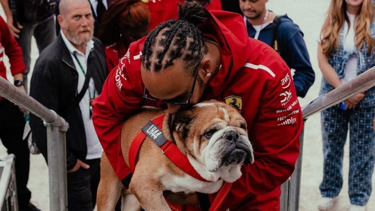 Roscoe e Hamilton durante GP da Itália 