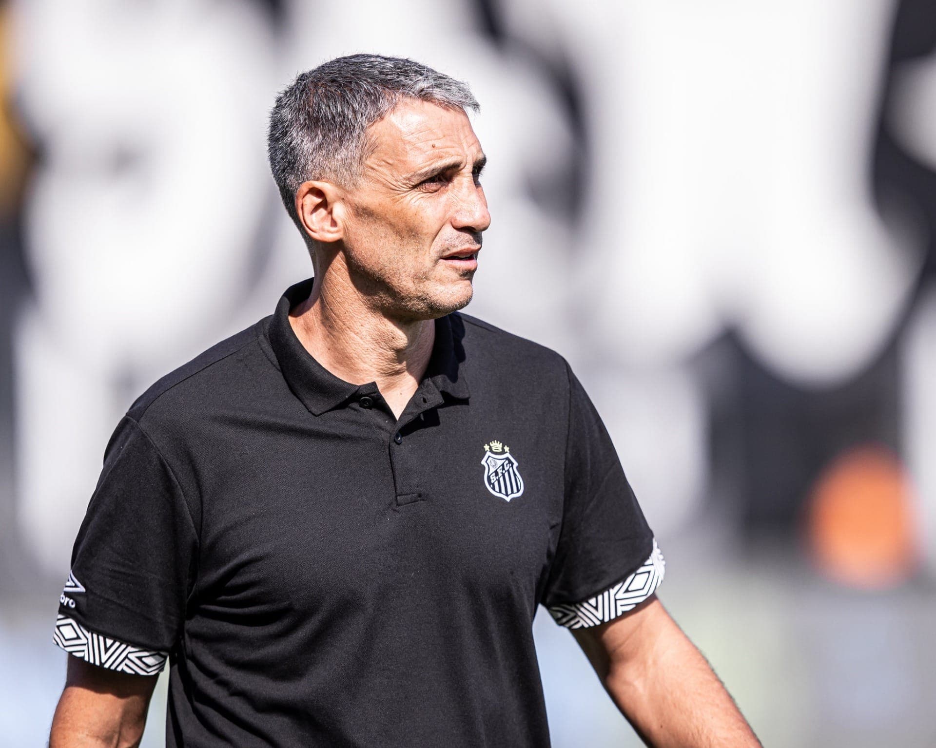 Vojvoda, técnico do Santos