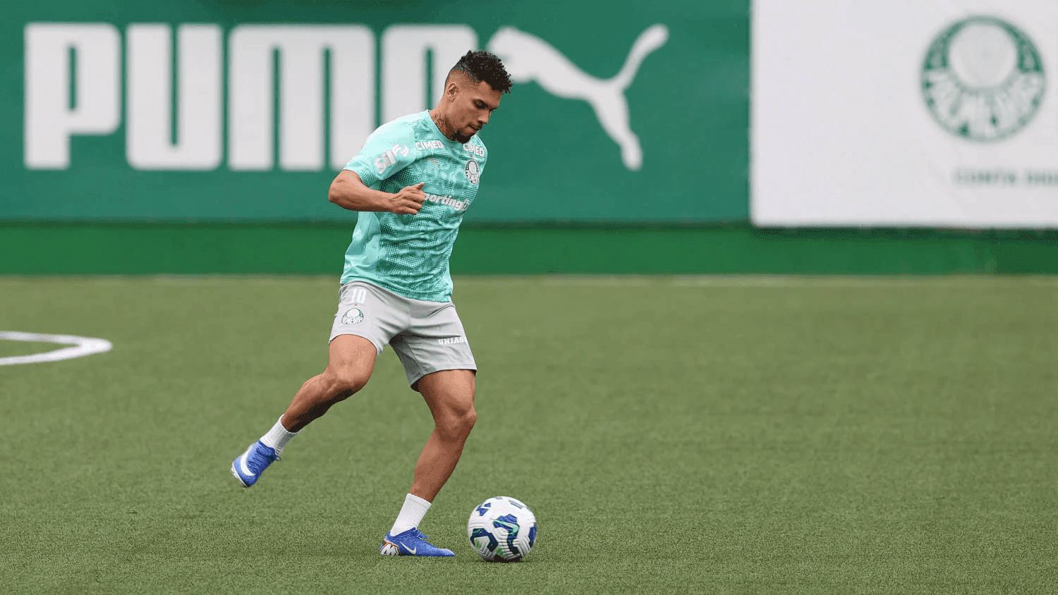 Paulinho, atacante do Palmeiras