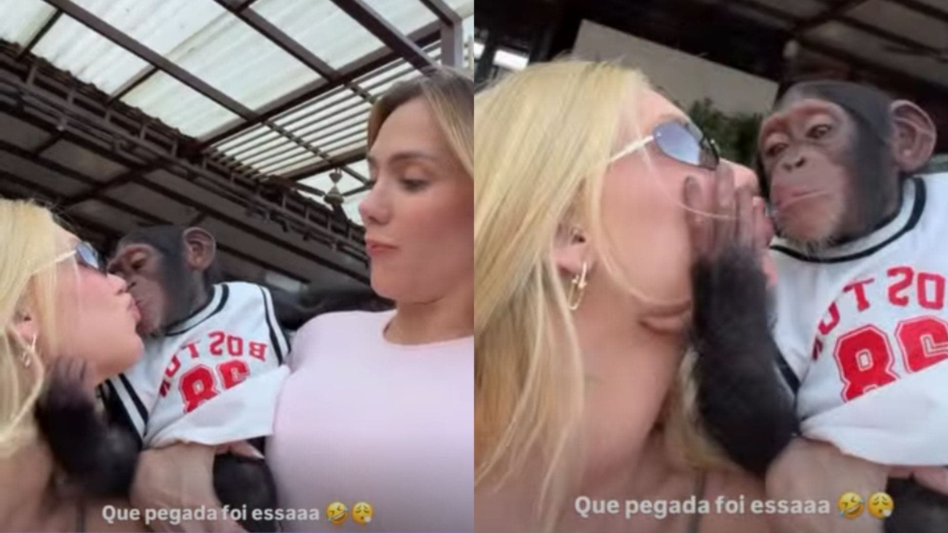 Virginia Fonseca beija chimpanzé