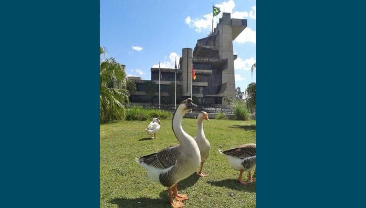 Paço Municipal fica no Alto da Boa Vista 