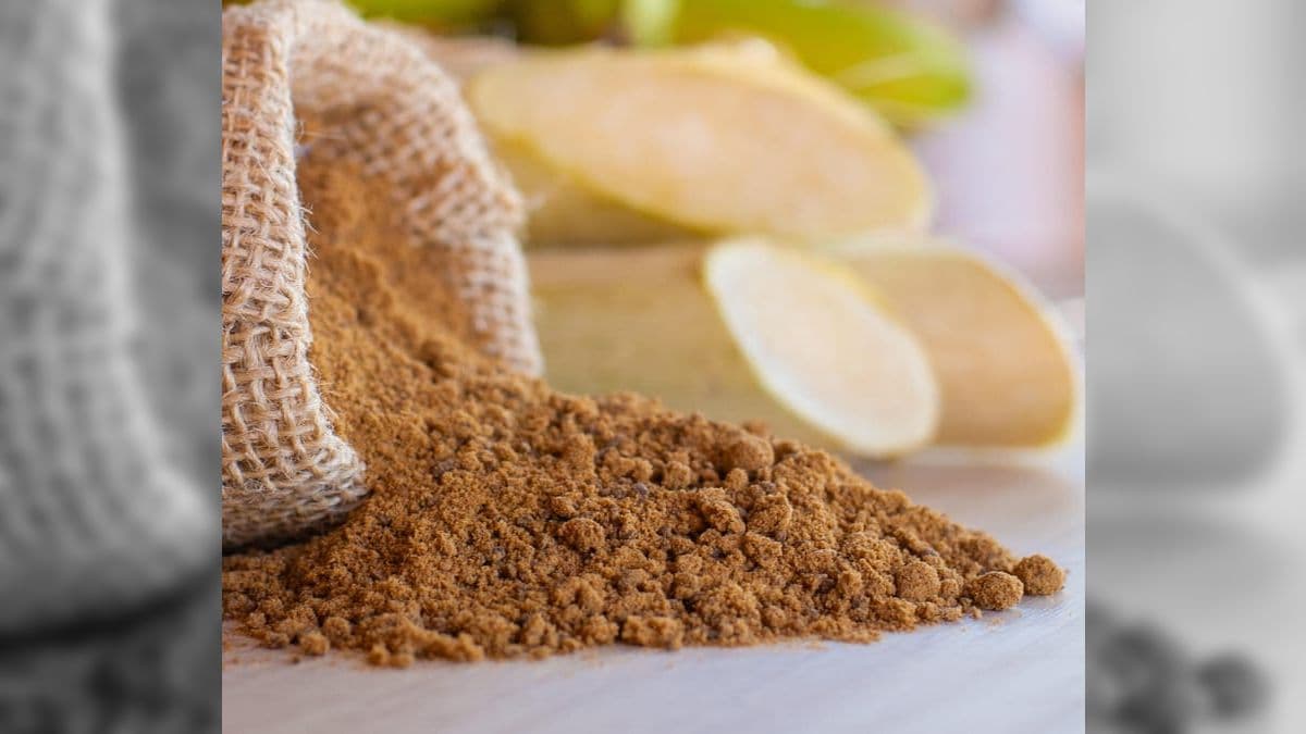 Conab projeta produção de 44,5 milhões de toneladas de açúcar