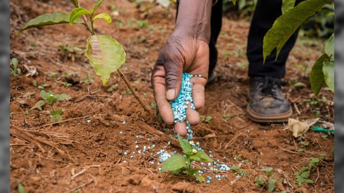 Agricultores estão mais cautelosos nas compras de insumos