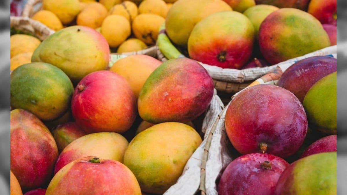 Variações climáticas deixam a manga mais cara; cebola e feijão também encarecem