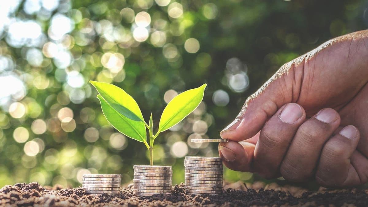 Banco do Brasil inicia a renegociação de dívidas de agricultores e pecuaristas