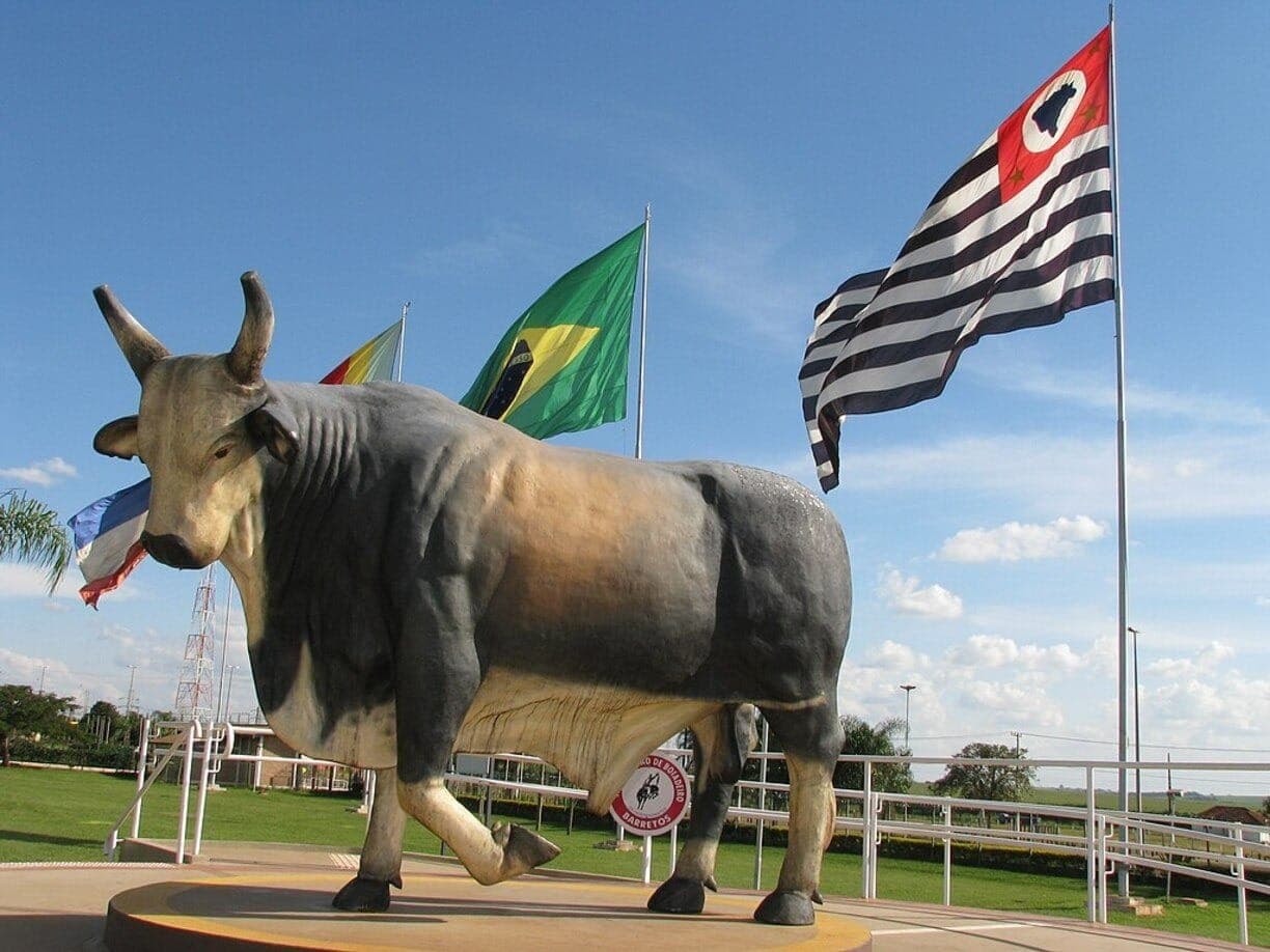 Touro Bandido foi enterrado no Parque do Peão, em Barretos (SP)