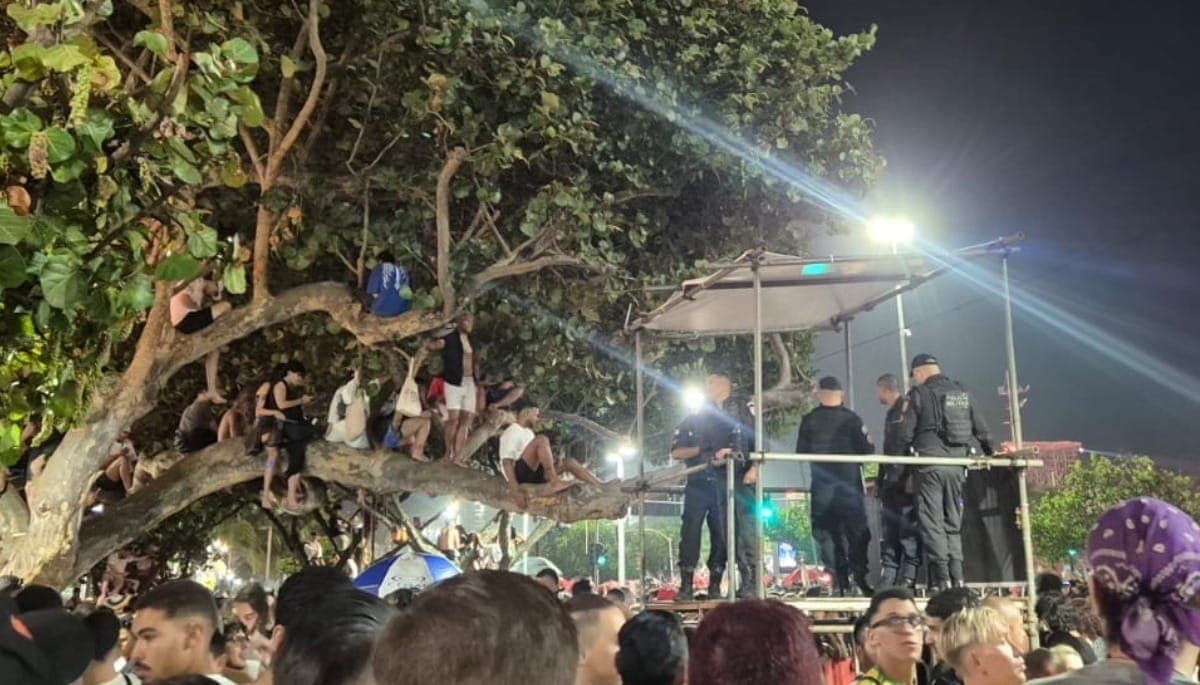 Fãs sobem em árvore para acompanhar Show de Lady Gaga