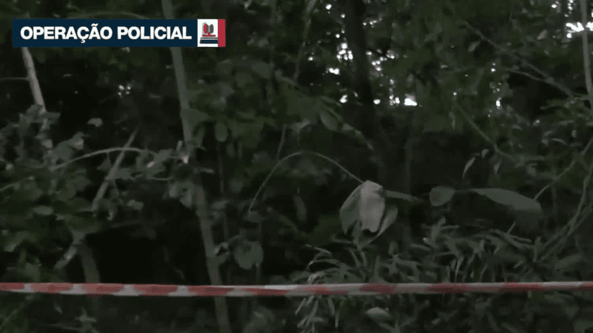 Mais de 10 ossadas são encontrados em cemitério clandestino na zona sul de SP