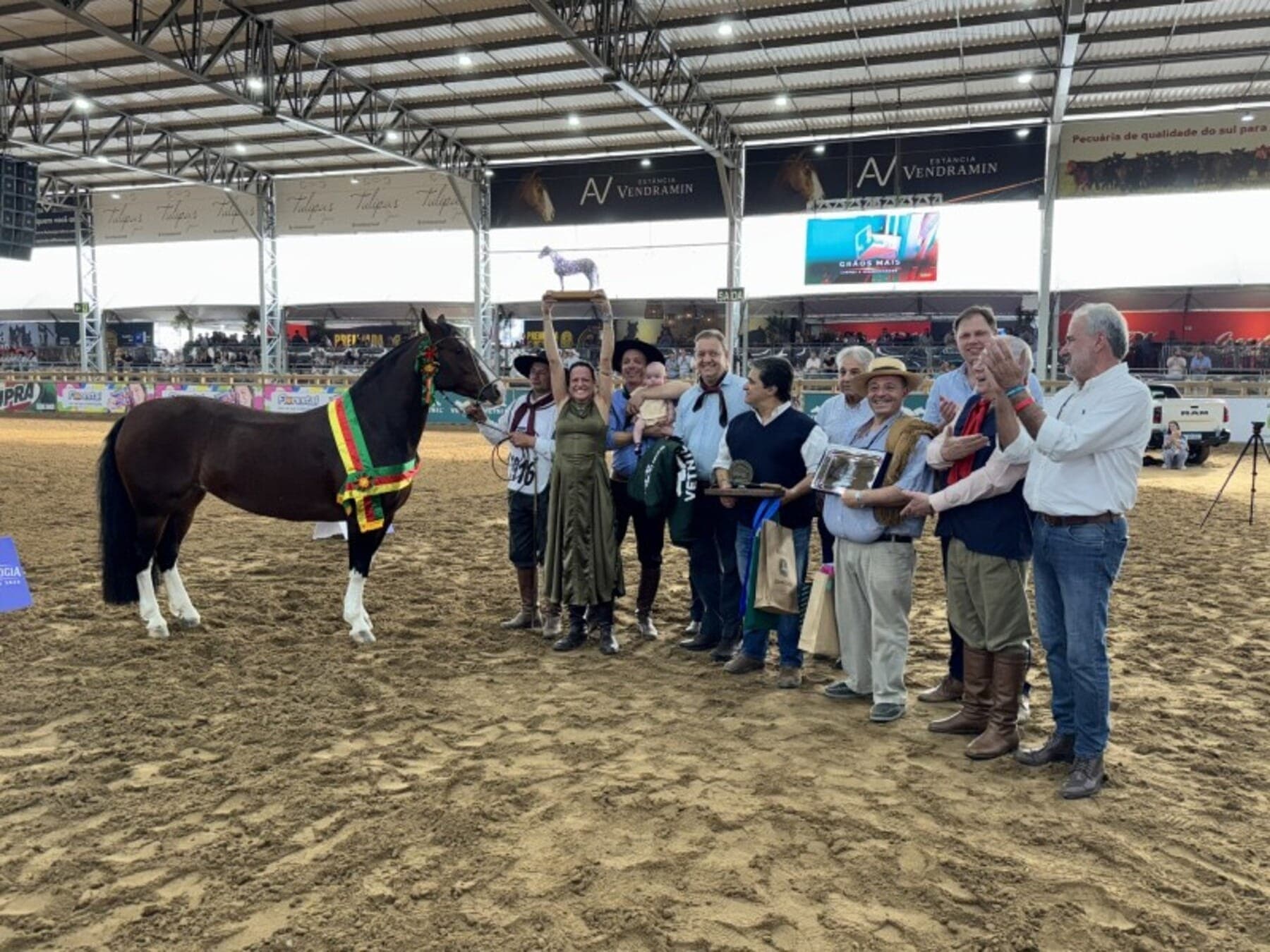 Égua Belle Reserva é a campeã Crioula da Expointer