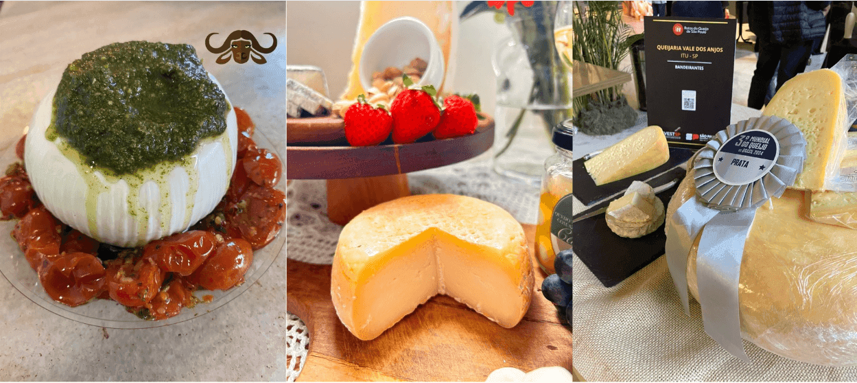 Rota do Queijo é programa para o fim de semana