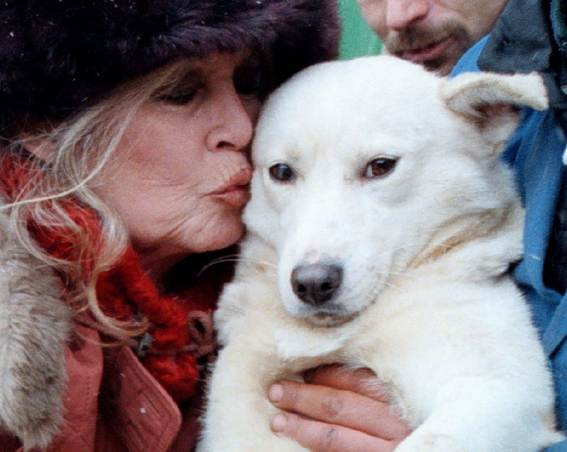 Brigitte Bardot visita canil na Romênia para promover castração de cães de rua
