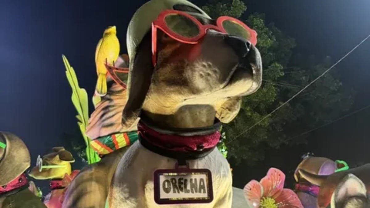 Cão Orelha é homenageado pela Mocidade Independente de Padre Miguel