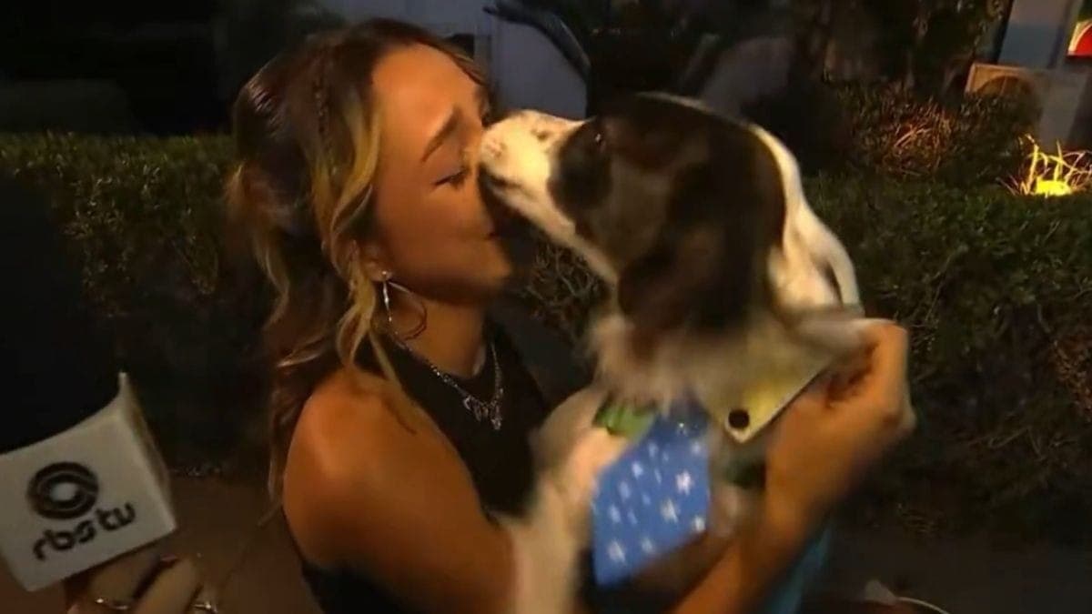 Samira reencontra seu cachorro de três patas, Lindolfo