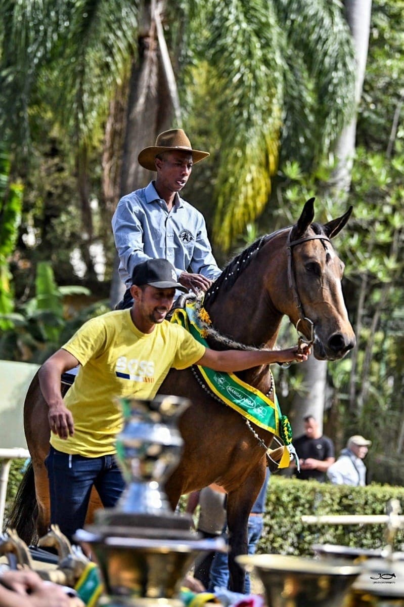 Pela primeira vez em 31 edições, a Agrishow terá animais em apresentação