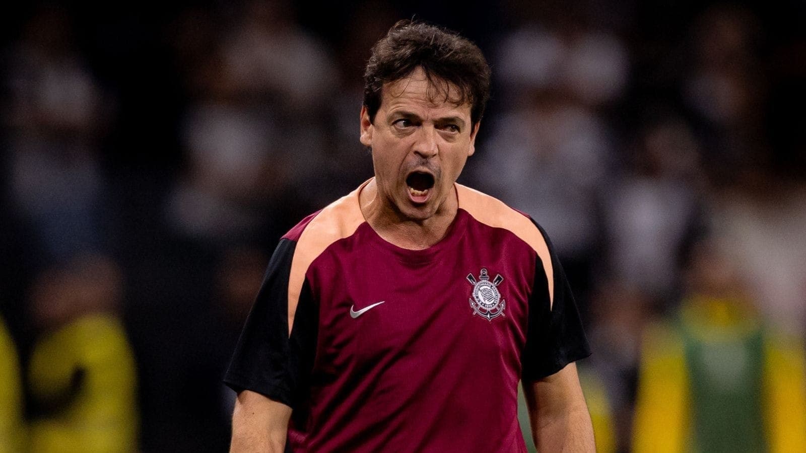 Fernando Diniz, técnico do Corinthians