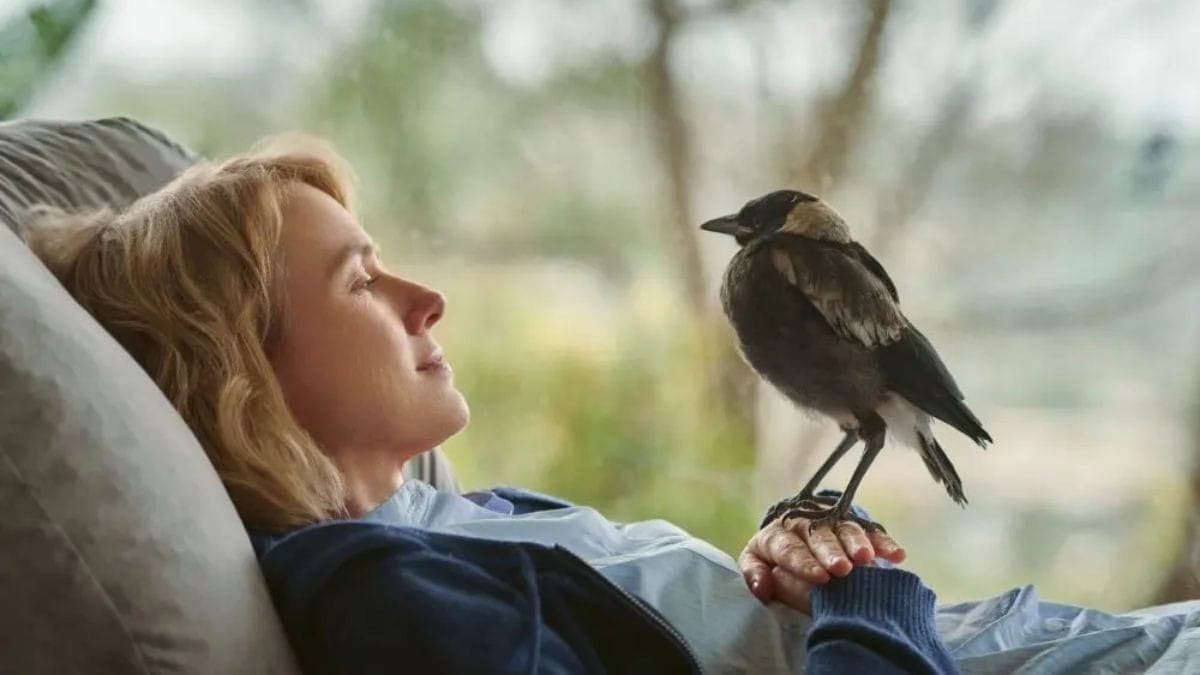Filme Um Milagre Inesperado