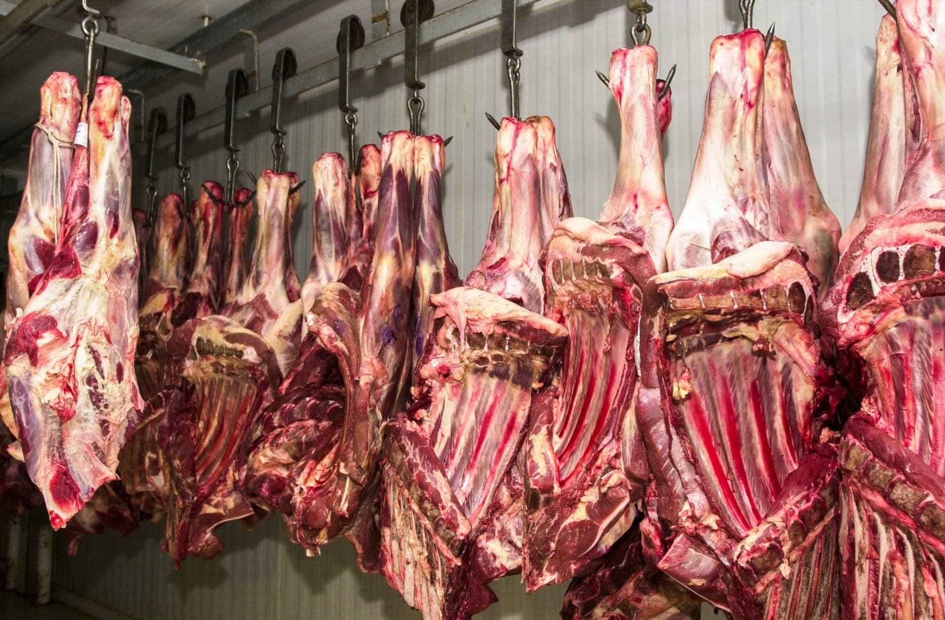 Carne fresca em frigorífico brasileiro