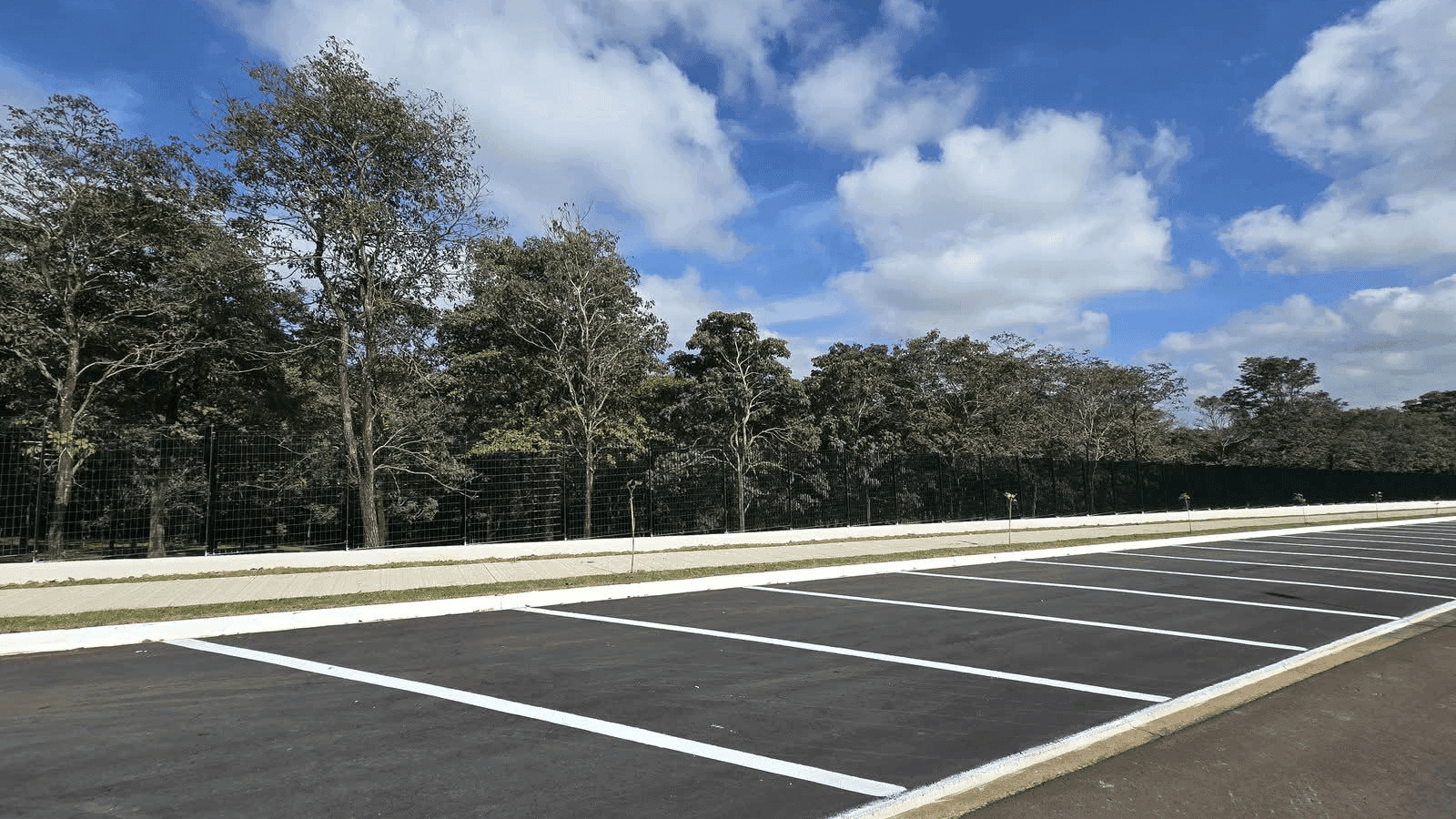 A ação reforça o compromisso com a preservação ambiental