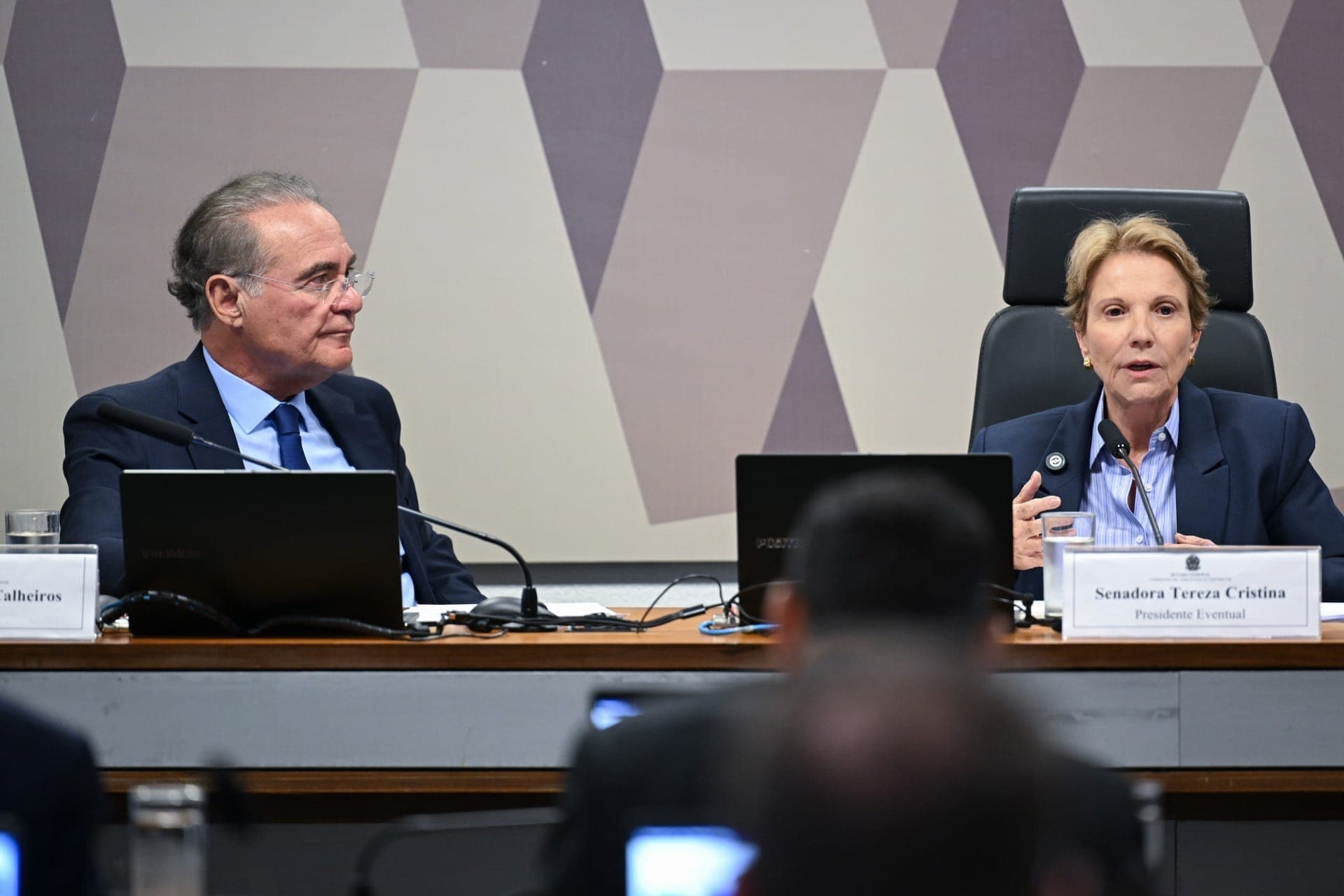 Senadores Renan Calheiros e Teresa Cristina