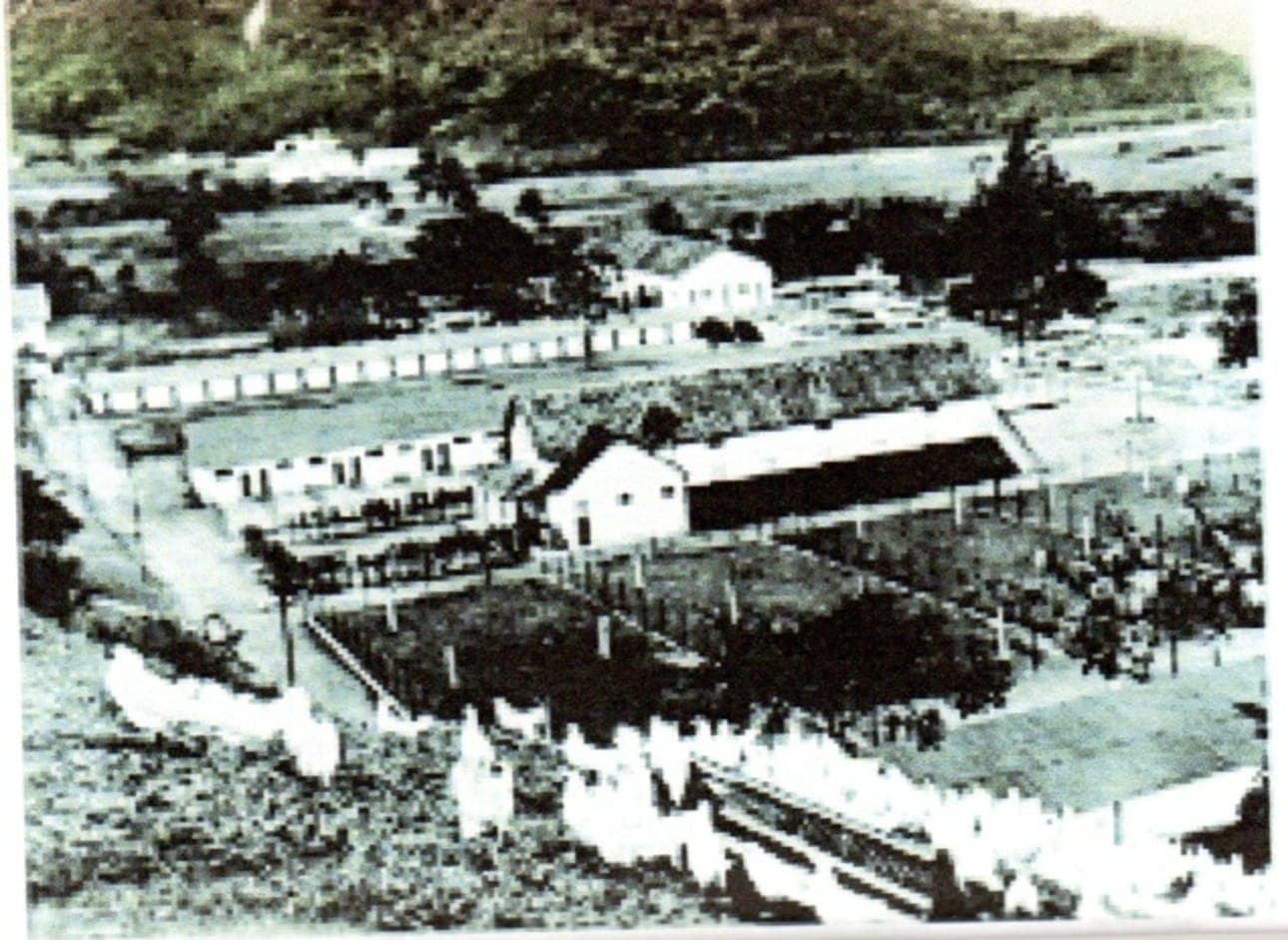 Criatórios de galinha na Granja Comary nos anos 1950