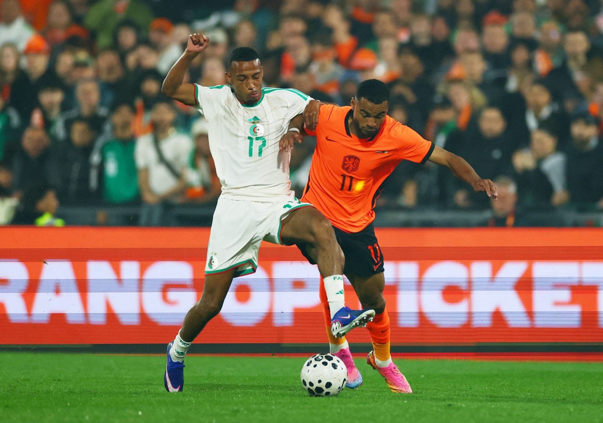 Holanda durante amistoso preparatório para a Copa do Mundo contra a Argélia