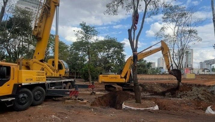 Operação delicada de transplante de árvores centenárias