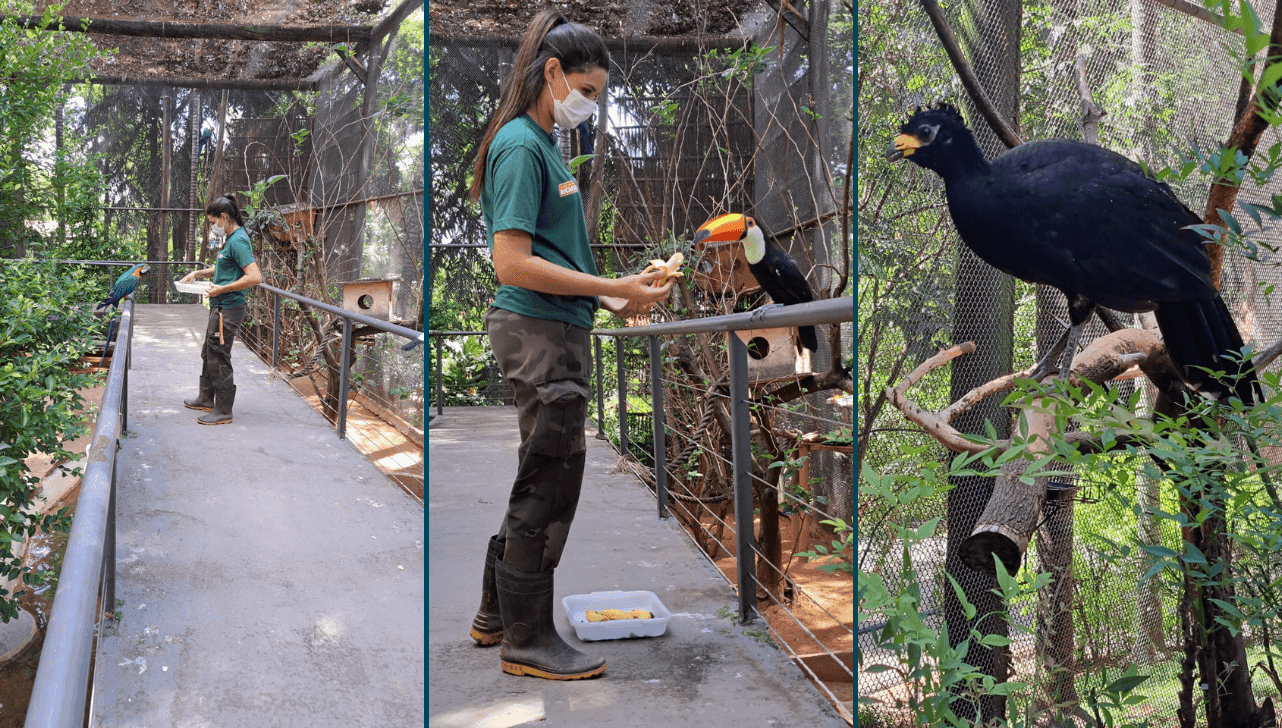 Parque Zoológico Municipal 'Quinzinho de Barros' fica na Vila Hortência