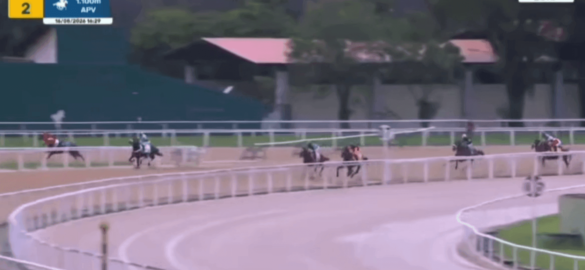 Animal não fez a curva e acabou derrubando Leandro Henrique