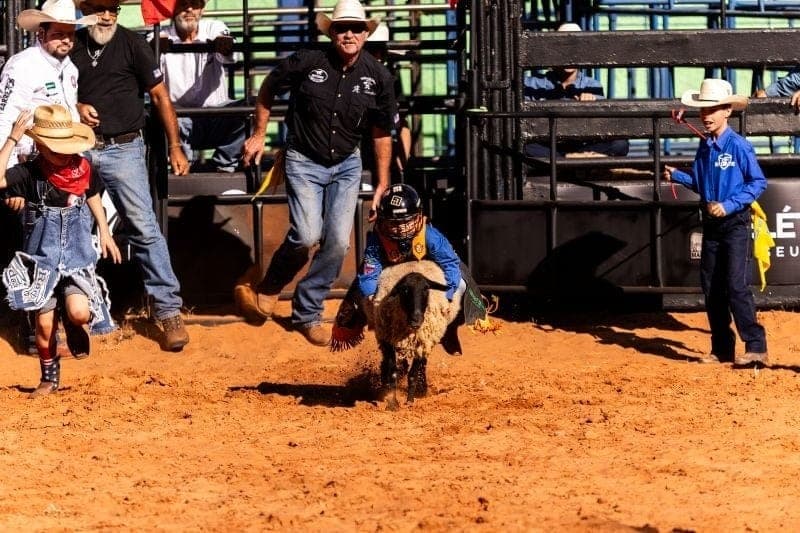 Pedro Luiz, de 7 anos, vence etapa do rodeio em carneiros
