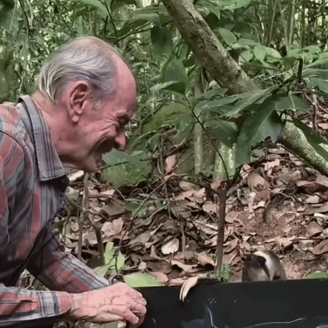 Cantor Ney Matogrosso é fazendeiro e preserva a natureza