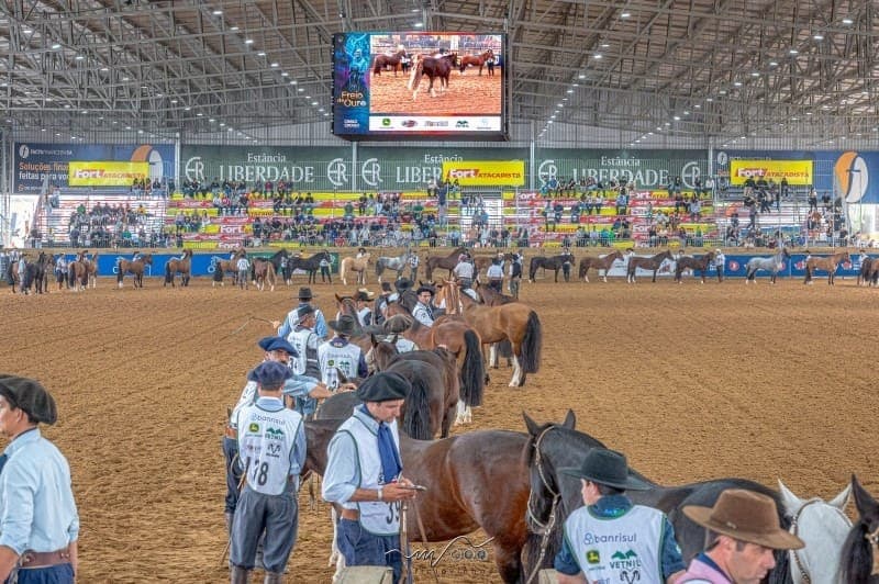 Expointer 2026 começa neste fim de semana em Esteio (RS)