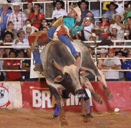 Touro Delegado é desafiado pelo peão Vilmar Felipe